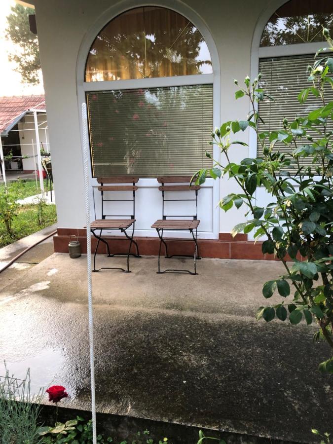 Villa Elita - Bela Crkva Bela Crkva  Eksteriør billede